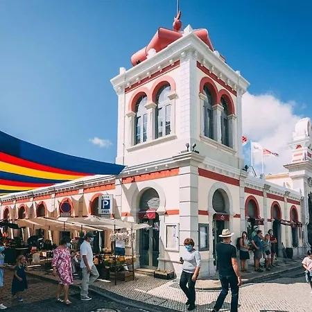 Minimalista Centenário * São Brás de Alportel