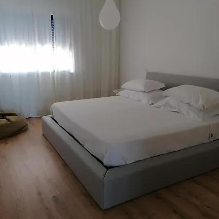 Minimalista Centenário